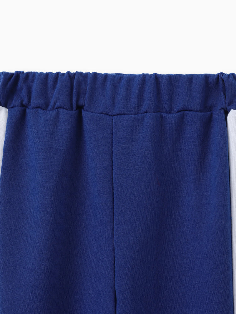 2pcs Toddler Boy Trendy Letter Print Colorblock Sweatshirt and Pants Set Blue