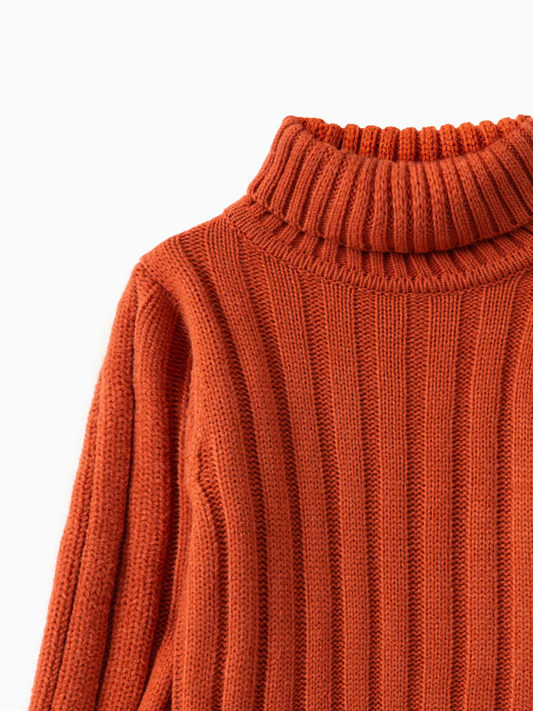 Toddler Girl/Boy Turtleneck Ribbed Knit Sweater Brown