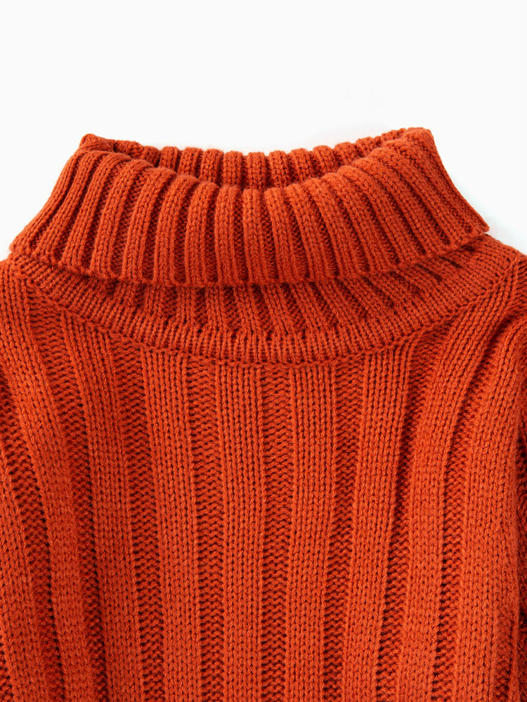 Toddler Girl/Boy Turtleneck Ribbed Knit Sweater Brown