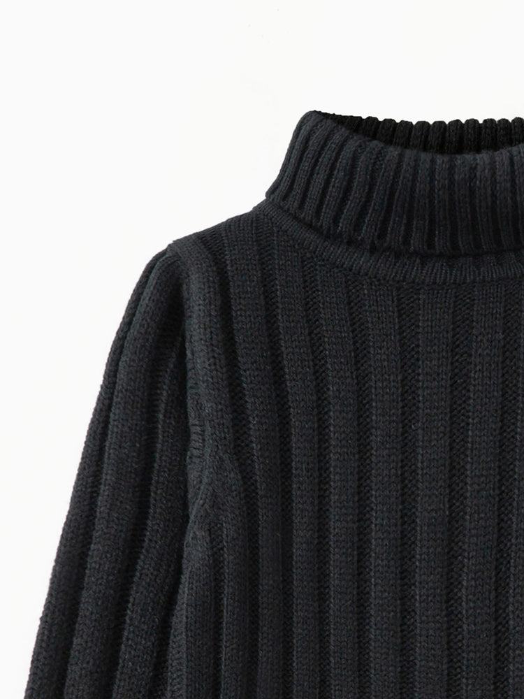 Toddler Girl/Boy Turtleneck Ribbed Knit Sweater Black