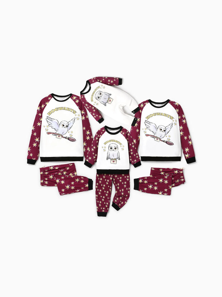 Ensemble pyjama de Noël familial assorti à imprimé Hedwige Harry Potter avec chaussettes de Noël 