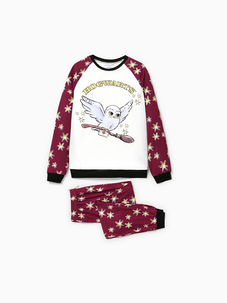 Ensemble pyjama de Noël familial assorti à imprimé Hedwige Harry Potter avec chaussettes de Noël 