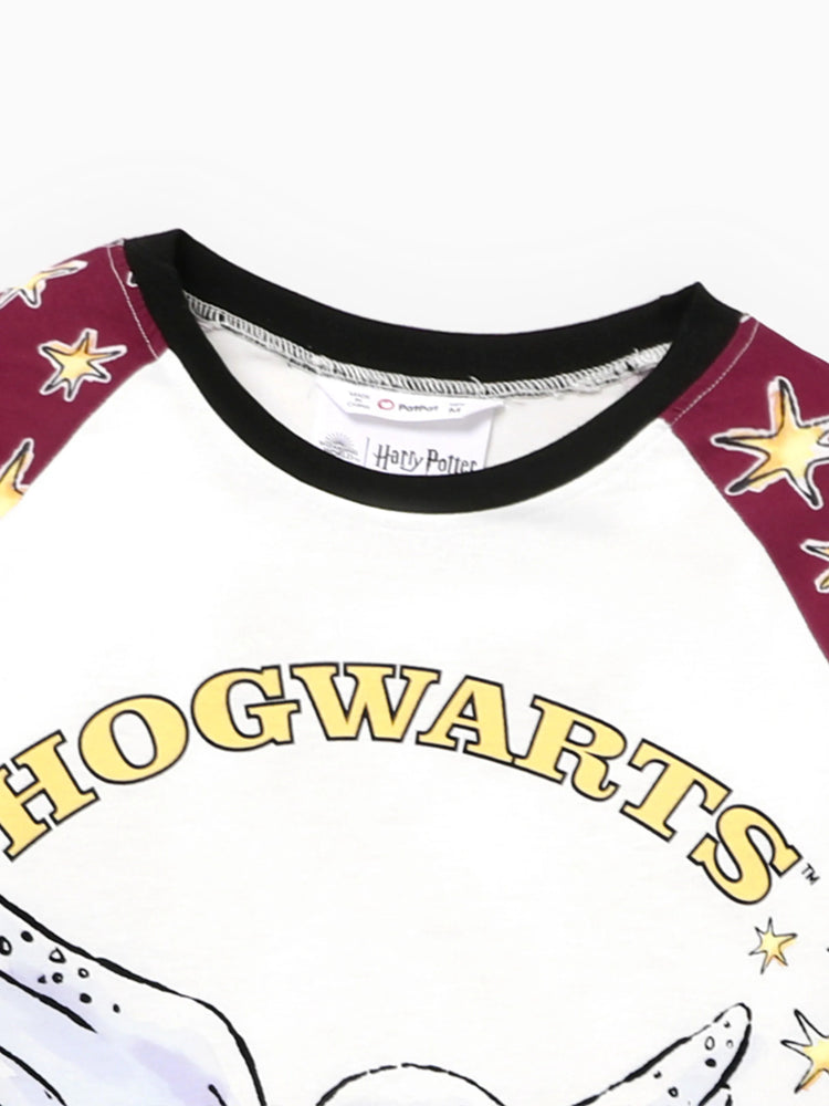 Ensemble pyjama de Noël familial assorti à imprimé Hedwige Harry Potter avec chaussettes de Noël 