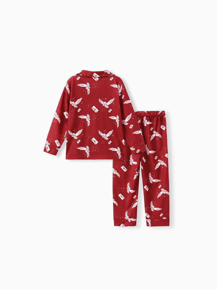 Ensemble pyjama 2 pièces assorti pour la famille Harry Potter, motif hibou de Noël, manches longues et revers (ignifuge), multicolore