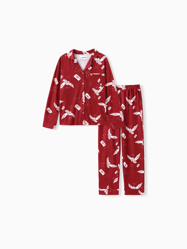 Ensemble pyjama 2 pièces assorti pour la famille Harry Potter, motif hibou de Noël, manches longues et revers (ignifuge), multicolore