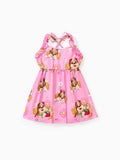 PAW Patrol Toddler Girl Skye Ruffled Sweet Dress Pink