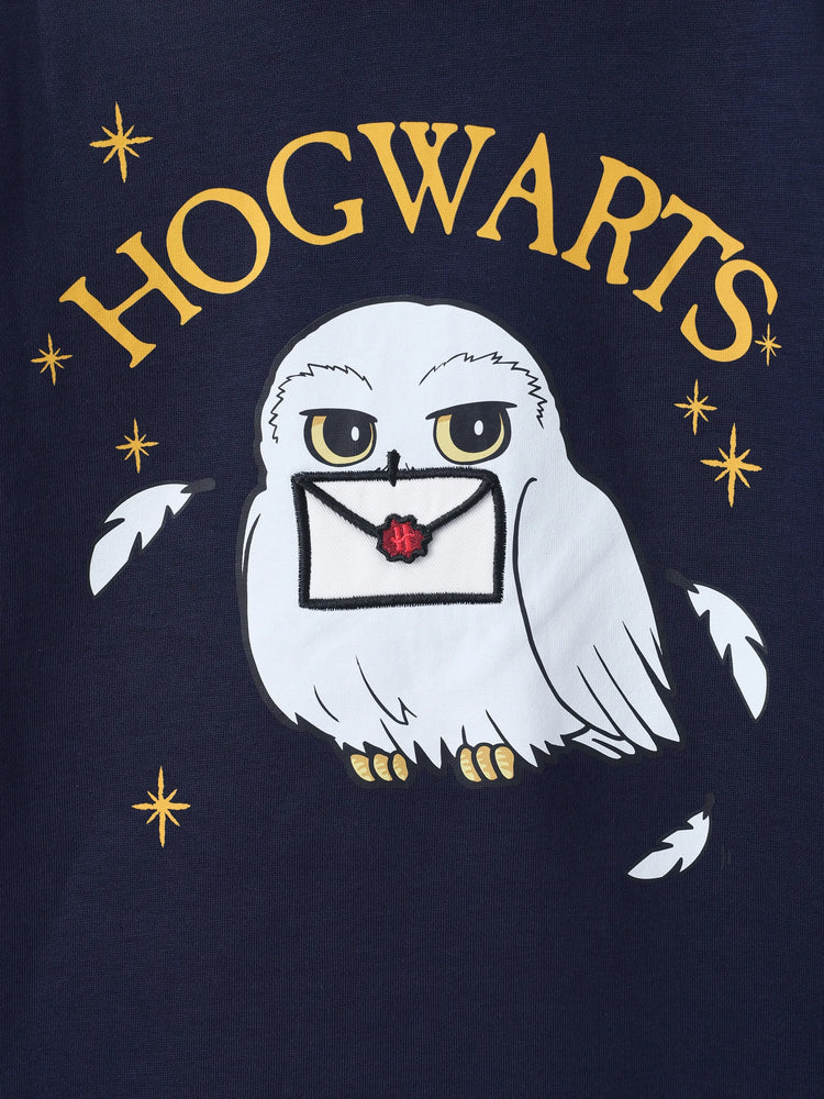 Harry Potter Kid Girl 1pc Owl 3D Envelop Plush Long-sleeve Hooded Dress 
 royalblue