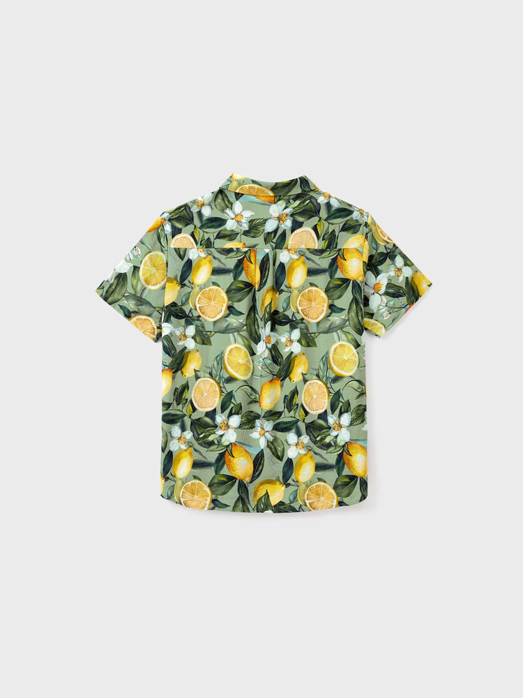 Daddy & Daughter Outfits – Lemon Print Hawaiian Shirts & Summer Dresses – Tropical Vacation Clothes for Men, Women & Kids Green