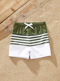 Toddler Boy Colorblock Stripe Swim Trunks Army green