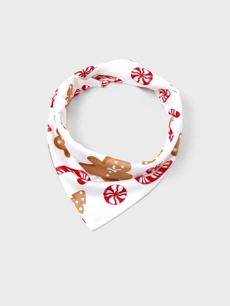 Ensemble pyjama de Noël assorti pour toute la famille, imprimé pain d'épices et cannes de bonbon, avec chaussettes de Noël rouges