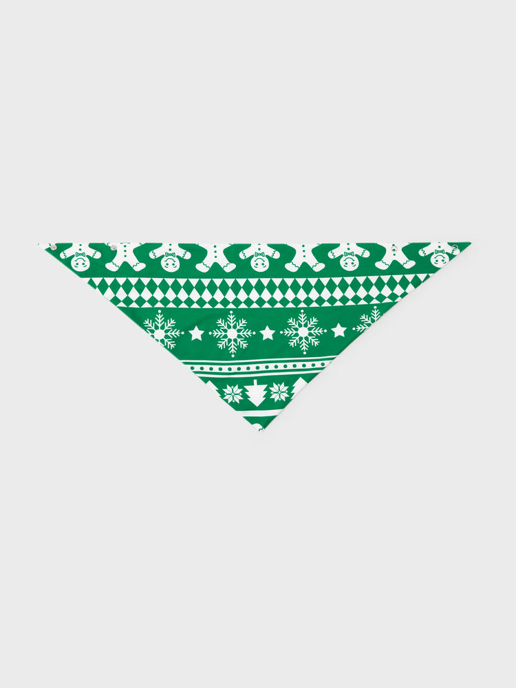 Ensemble pyjama de Noël assorti pour toute la famille, imprimé pain d'épices et sapin de Noël, vert, avec chaussettes de Noël vertes