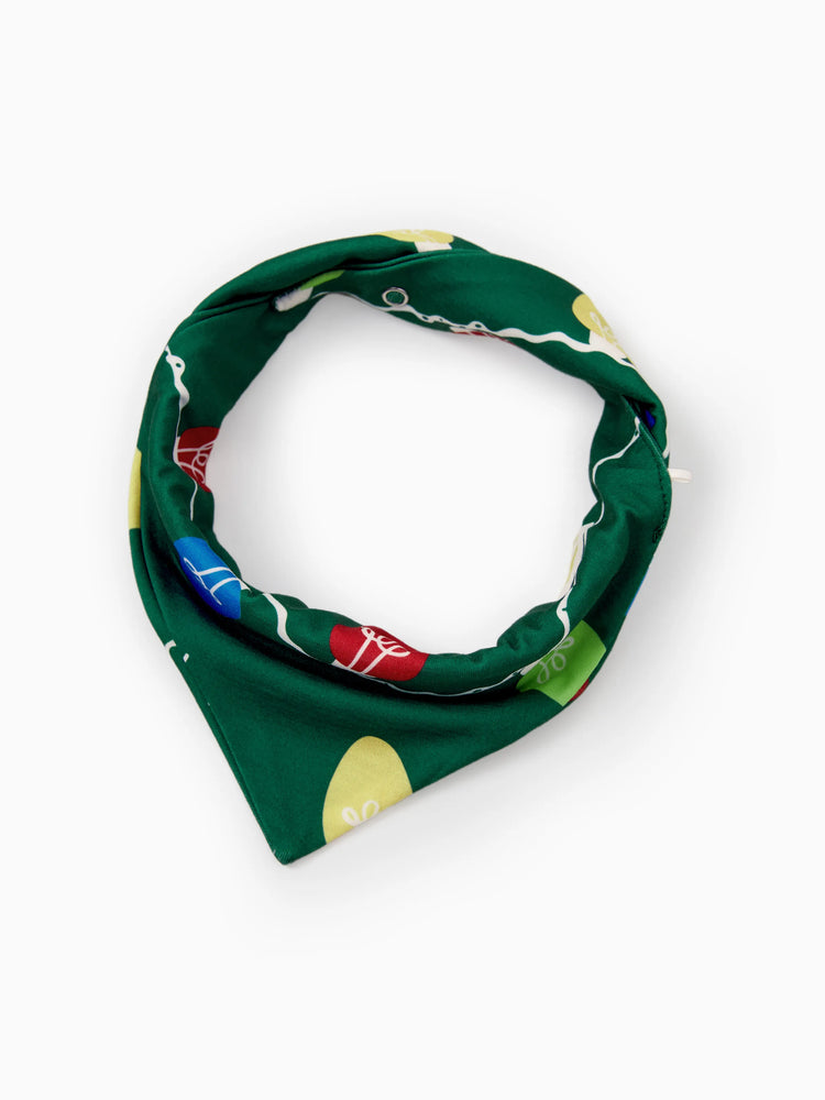 Ensemble pyjama de Noël assorti pour toute la famille, imprimé renne vert et chaussettes de Noël vertes