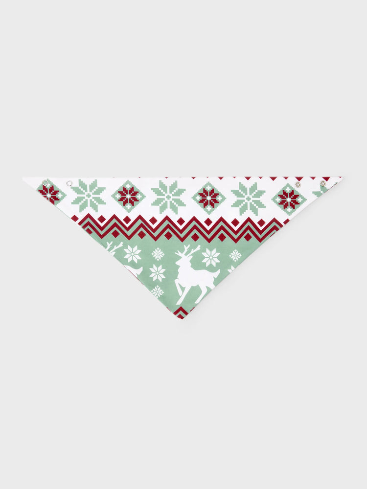 Ensemble pyjama de Noël assorti pour toute la famille, imprimé esprit de Noël et flocons de neige, avec chaussettes de Noël, vert pâle