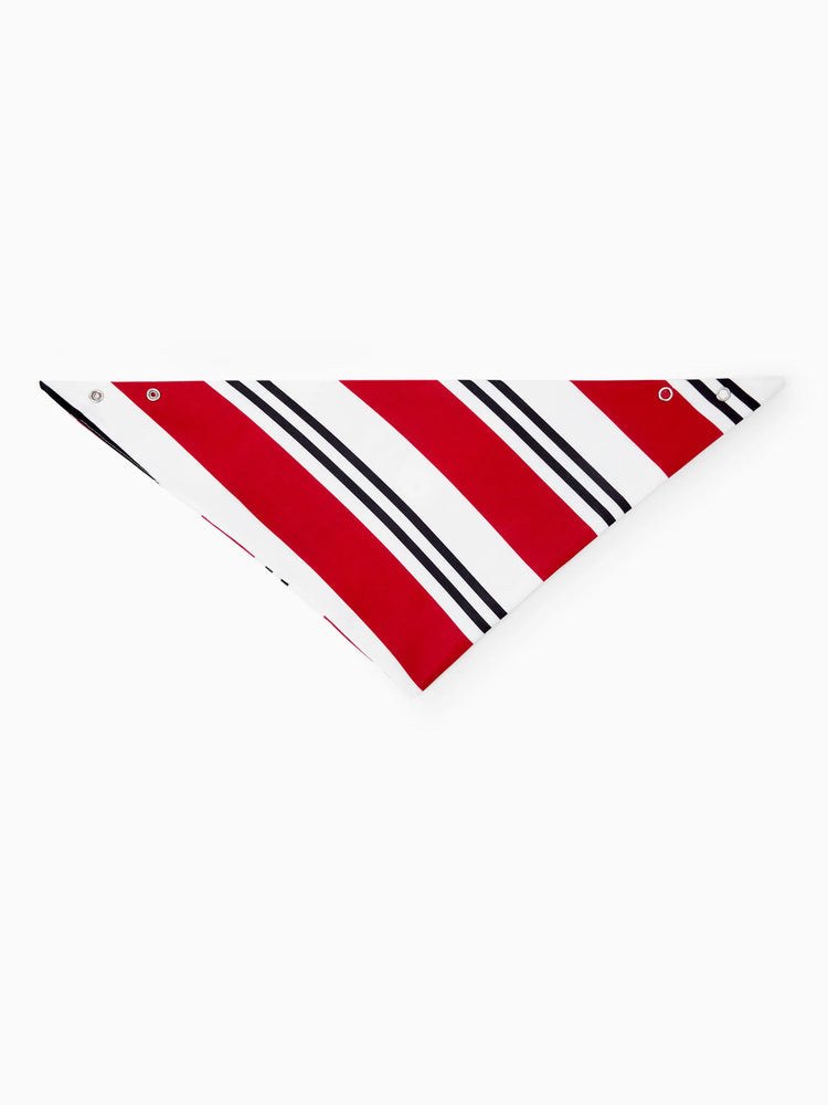 Christmas Matching Family Pajamas Set Elf Print PJS with Christmas Socks Black