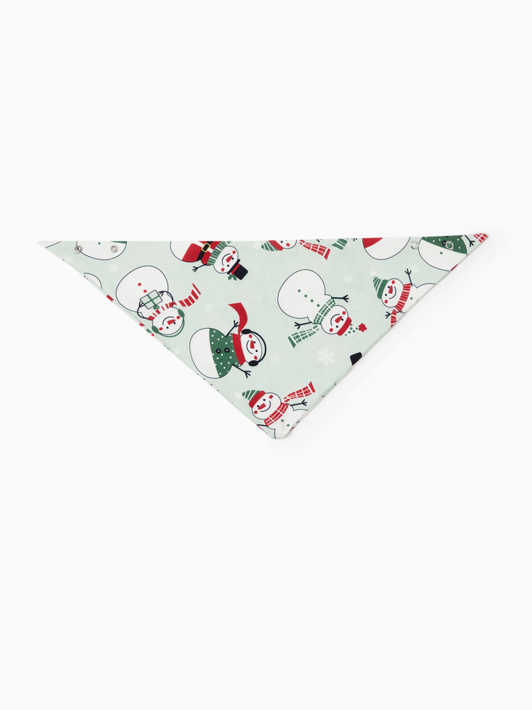 Christmas Matching Family Pajamas Set Christmas Snowman Print PJS with Christmas Socks Mint Green