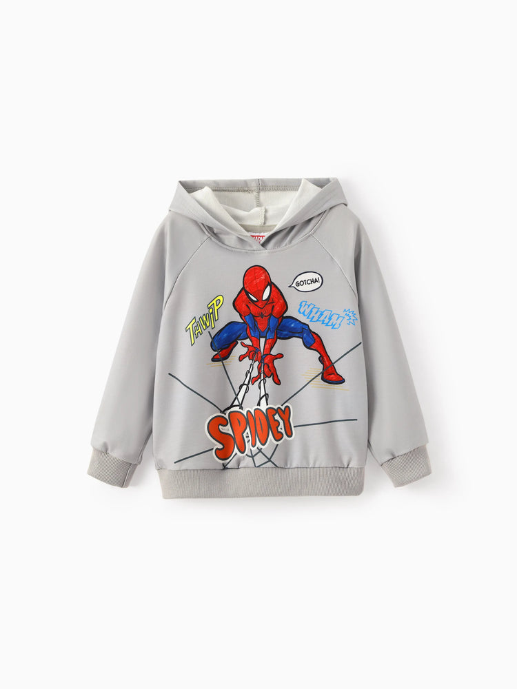 Marvel Toddler/Kids Boy Superhero Character Print Hoodie Grey