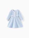 Disney Frozen Toddler/Kids Girl Elsa Embroidered Decorative Button Dress Light Blue