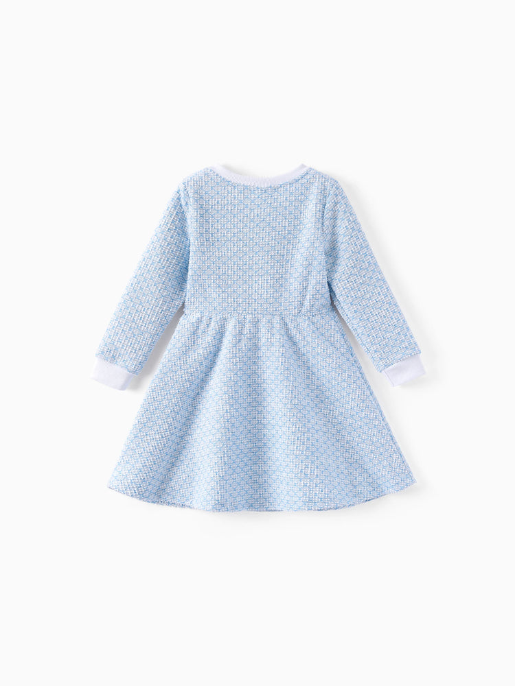 Disney Frozen Toddler/Kids Girl Elsa Embroidered Decorative Button Dress Light Blue