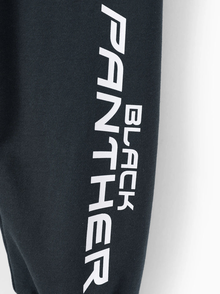 Marvel Toddler/ Kid Boy 2pcs Blac Panther Costume Sweatshirt and Pants Set with Built-in Mask Dark Grey