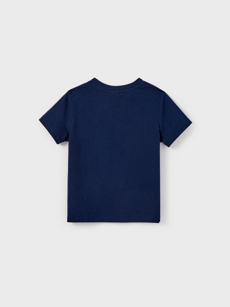 Mommy & me Cotton T-Shirt & Dress Set – Sunny Days Palm Print for Dad, Mom, Baby & Toddler, Perfect for Summer Vacations & Family Outings Tibetan blue