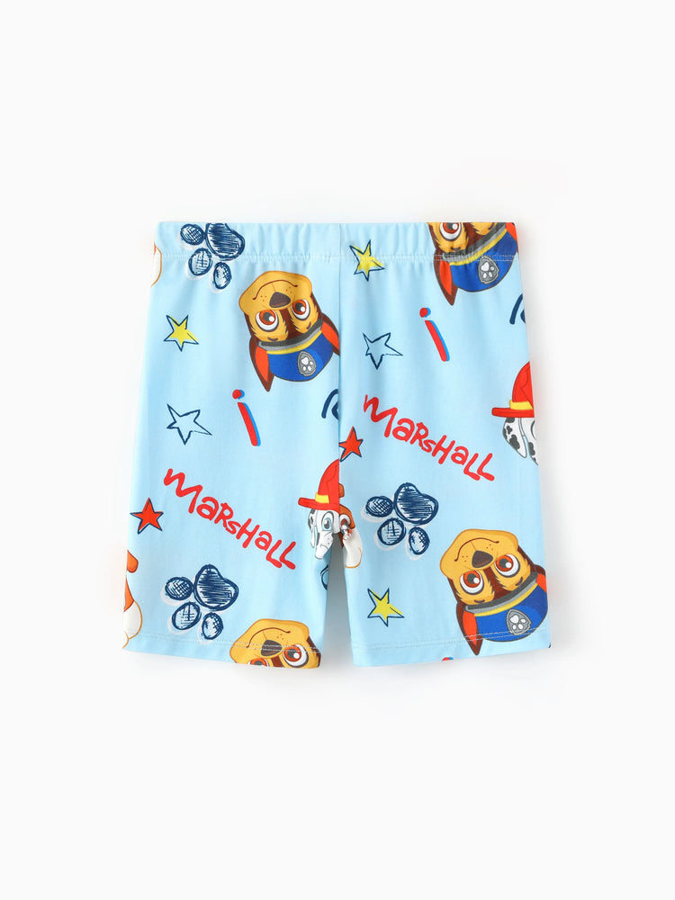 PAW Patrol Toddler Boy Skye Bamboo Allover Print Pajamas Blue