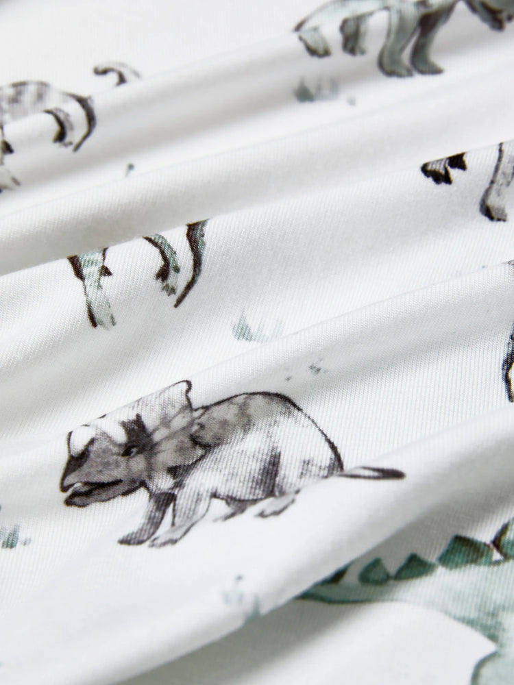 Bamboo Baby Boy/Girl 2-Pack Cute Animal Long Sleeve Romper 2-Way Zip Anti Slip Footie Pale Green