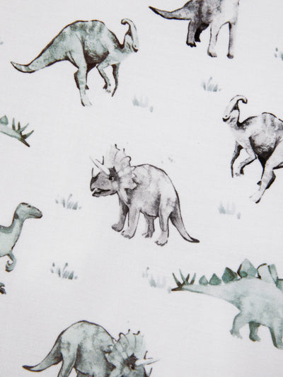 Bamboo Baby Boy/Girl 2-Pack Cute Animal Long Sleeve Romper 2-Way Zip Anti Slip Footie Pale Green