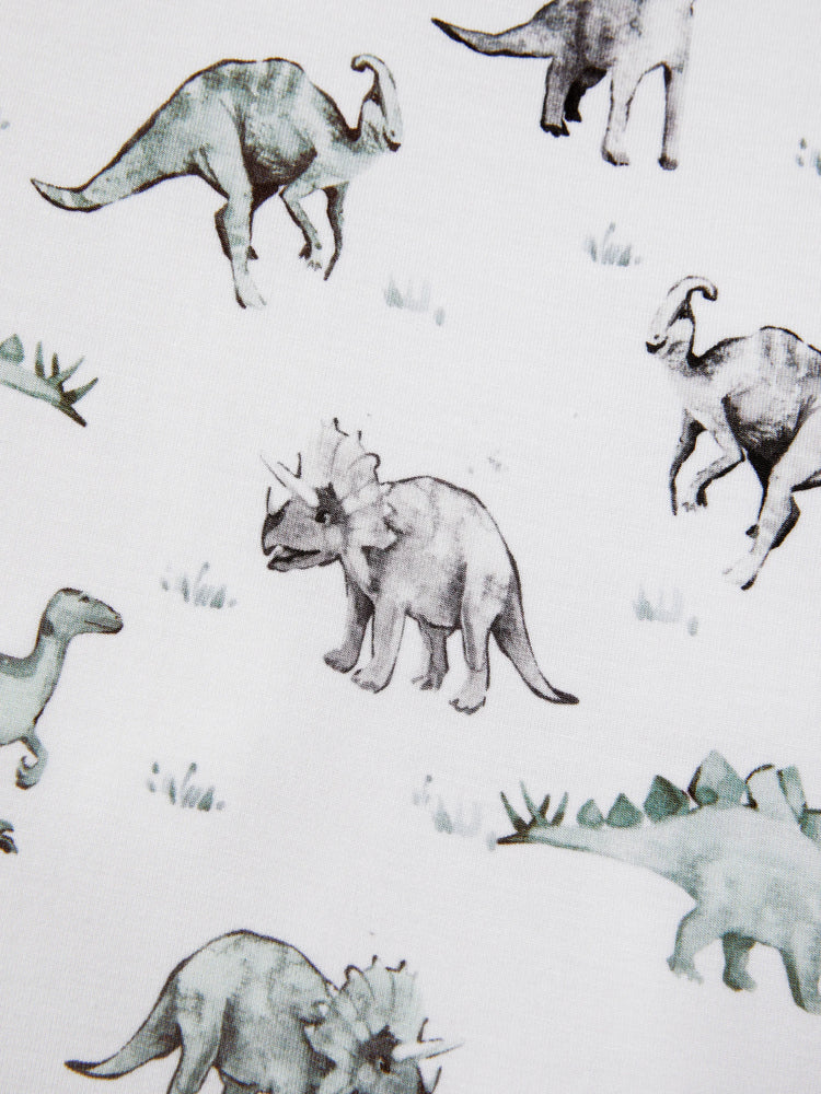 Bamboo Baby Boy/Girl 2-Pack Cute Animal Long Sleeve Romper 2-Way Zip Anti Slip Footie Pale Green