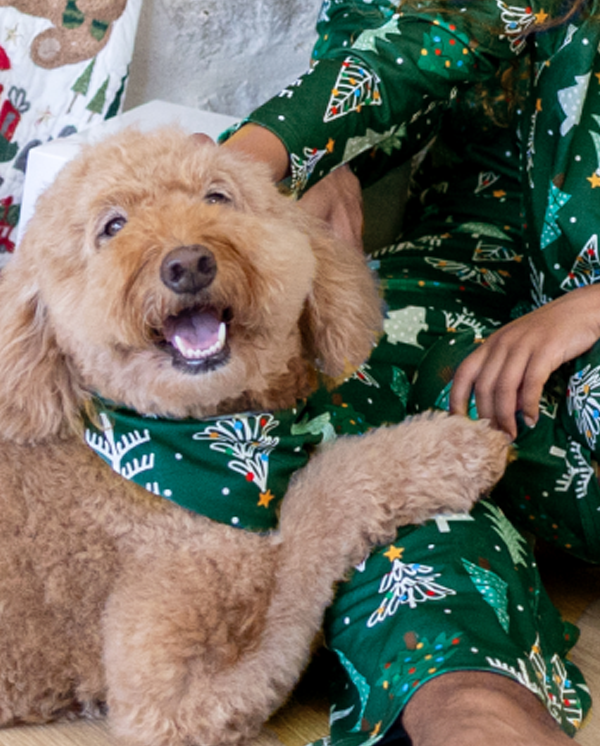 Christmas Matching Family Pajamas Xmas Tree Print Dark Green