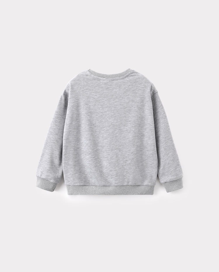Toddler/Kids Unisex Crewneck Pullover Sweatshirt Grey