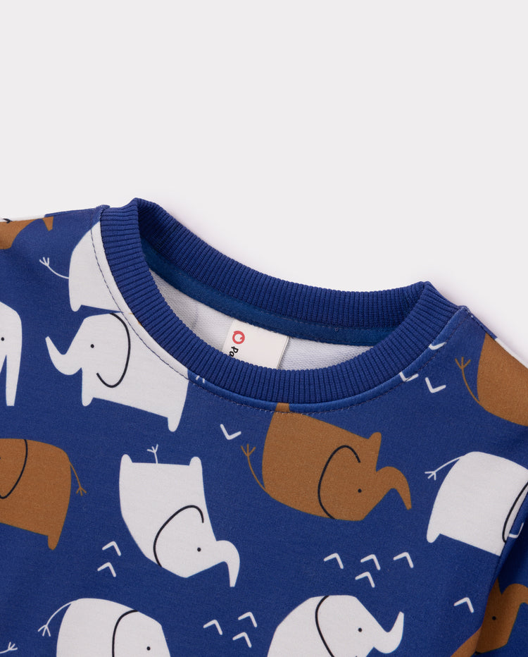 Baby Unisex Long Sleeve Top & Pants Set Royal Blue