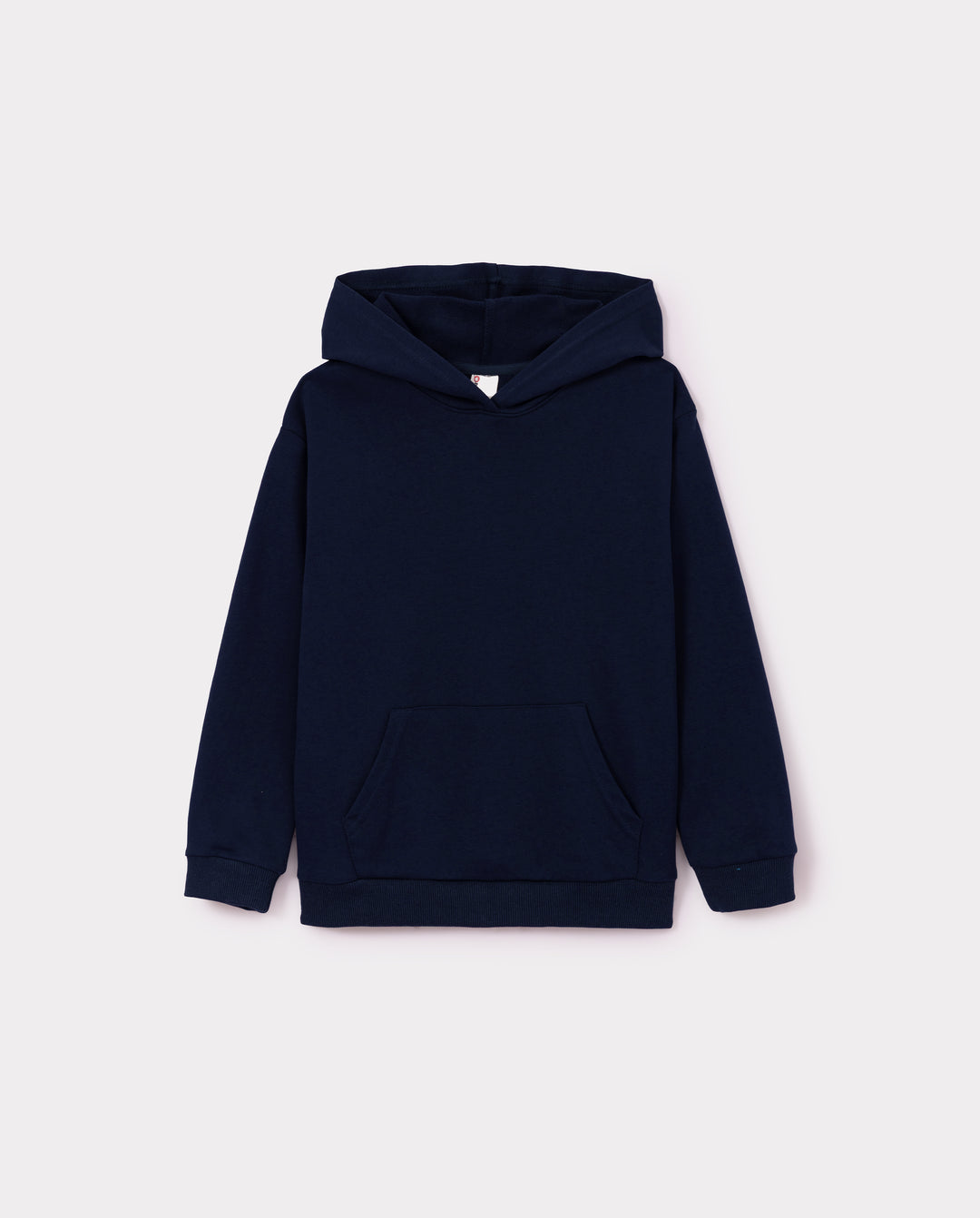 Toddler/Kid Boy Hoodie Sweatshirt Tibetan blue