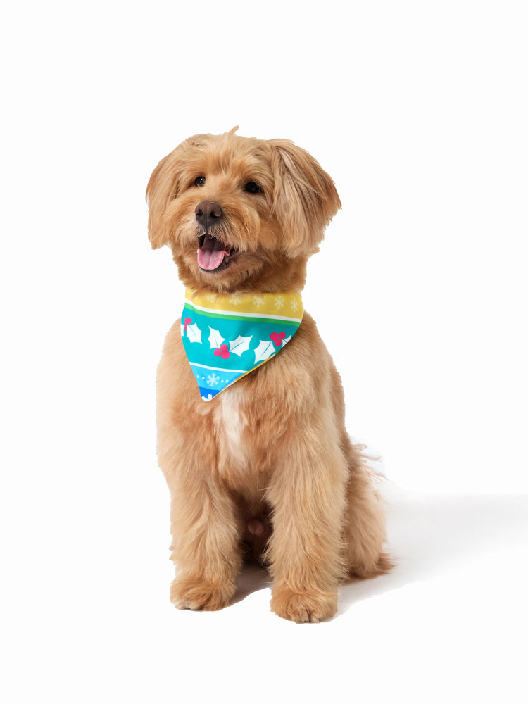 Ensemble pyjama de Noël assorti pour toute la famille, pyjama rayé avec motif gnome de Noël et chaussettes de Noël multicolores