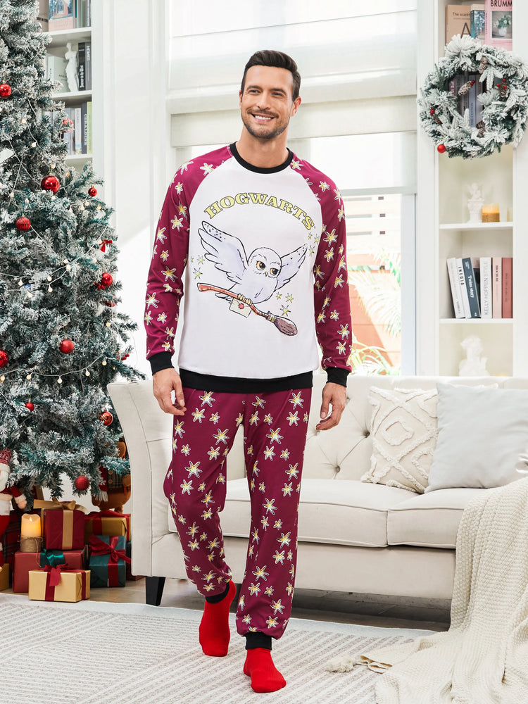 Ensemble pyjama de Noël familial assorti à imprimé Hedwige Harry Potter avec chaussettes de Noël 