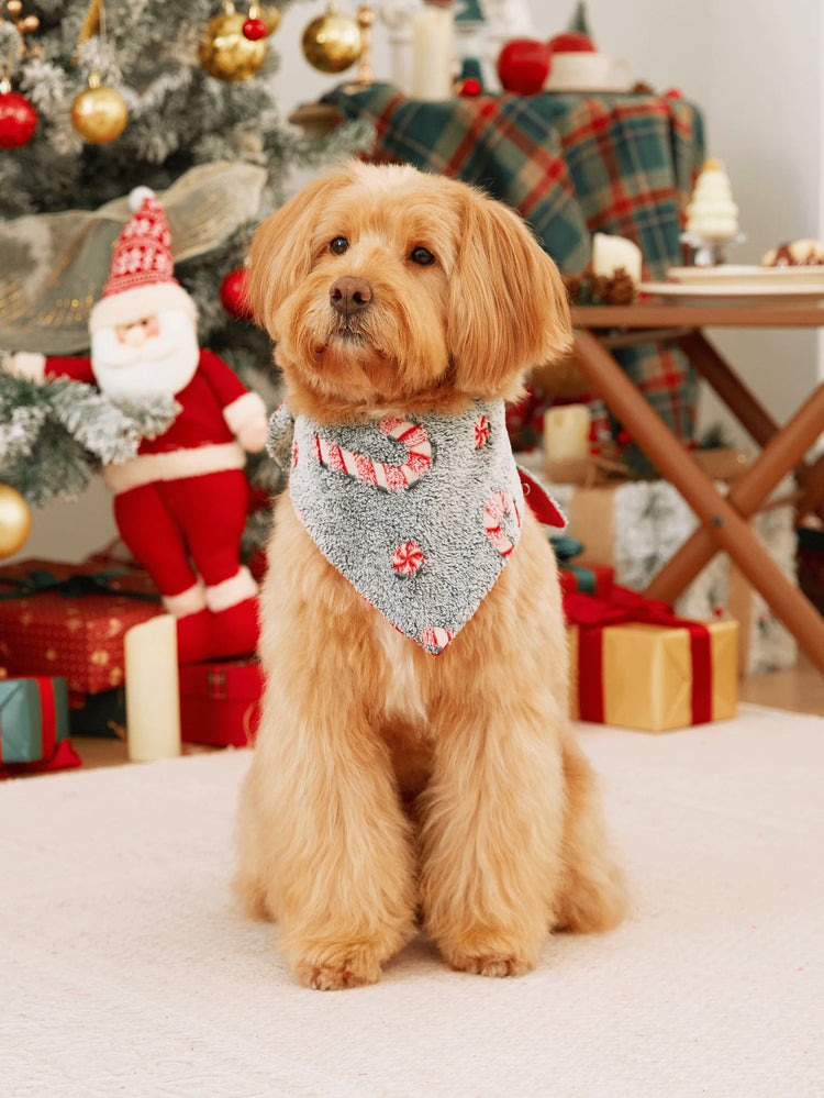 Pyjama grenouillère assorti aux tenues de Noël, motif canne à sucre (brille dans le noir) avec chaussettes de Noël noires