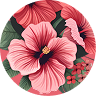 Rosa Hibisco