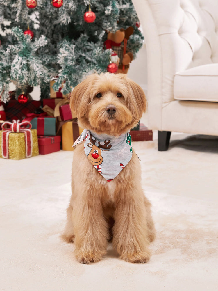 Grey Christmas Pajamas 3D Reindeer Pattern Zipper Onesies Matching Family Outfits Light Grey