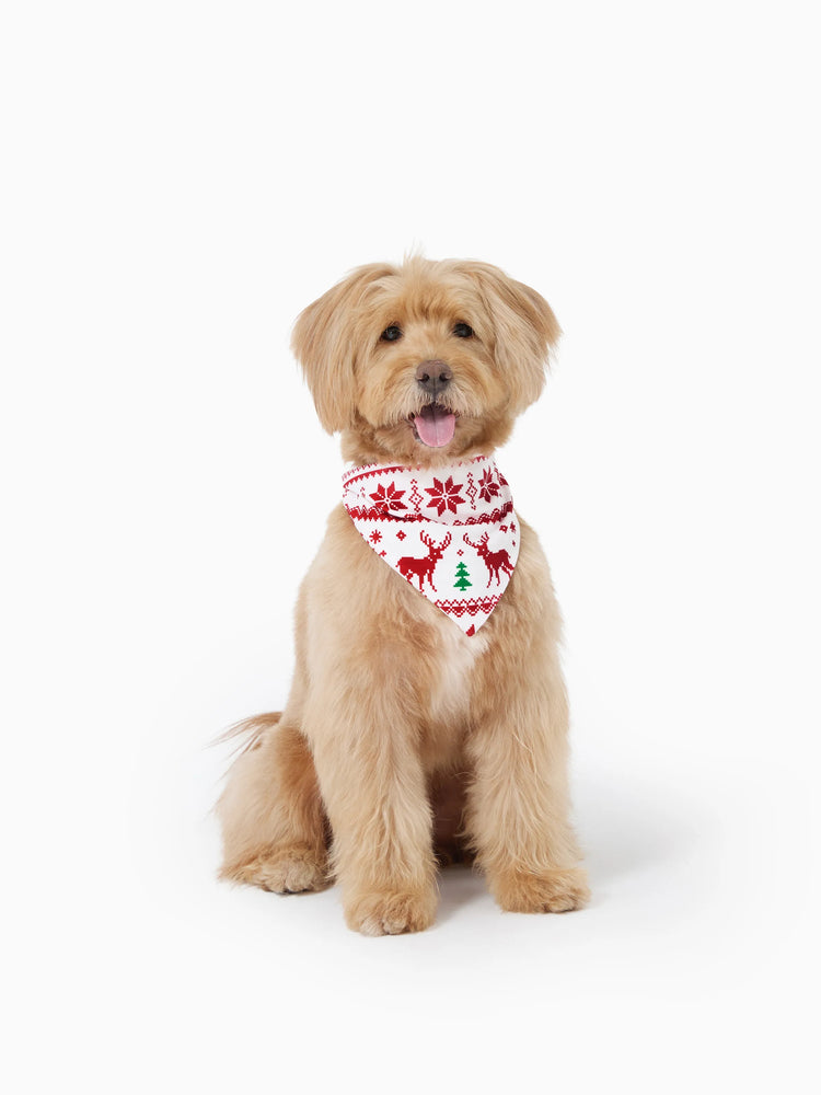 Christmas Matching Family Pajamas Set 3D Reindeer Hooded Allover Snowflake and Reindeer Print Red and White Onesie PJS with Christmas Socks Red+White