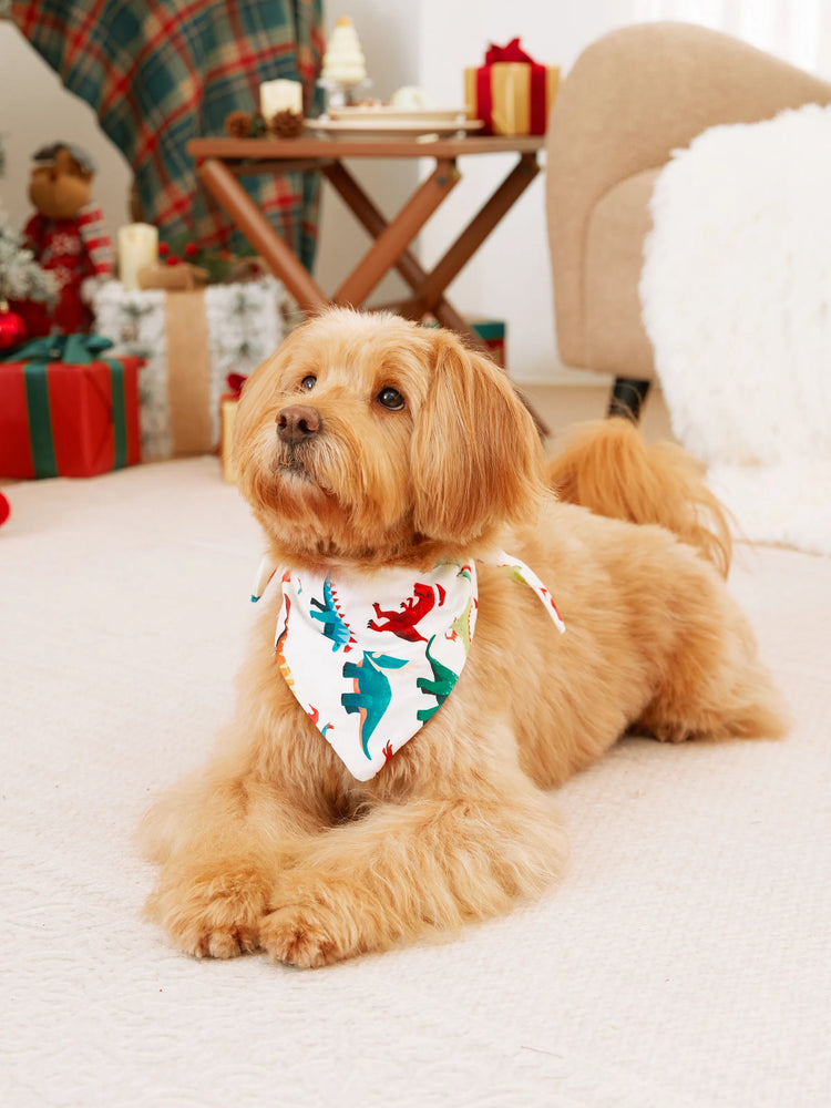 Christmas Family Matching Pajamas with 3D Design Onesie PJS with Christmas Socks Multi-color