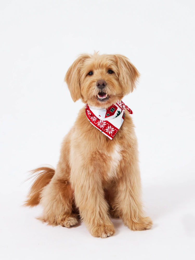 Christmas Matching Family Pajamas Set Snowman and Christmas Tree Print White PJS with Christmas Socks ( Defective Product) Dark Green