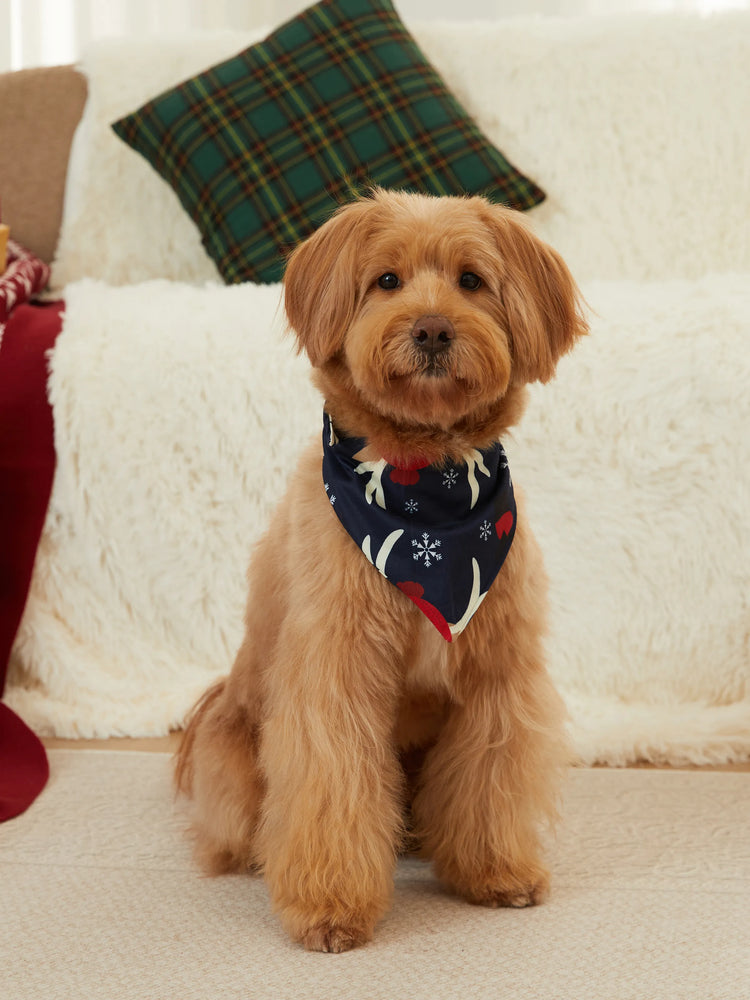 Pyjama de Noël familial à motif renne, manches raglan, grands motifs, avec chaussettes de Noël, bleu foncé/blanc/rouge