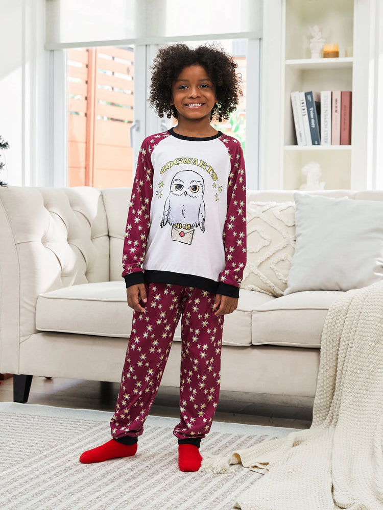 Ensemble pyjama de Noël familial assorti à imprimé Hedwige Harry Potter avec chaussettes de Noël 
