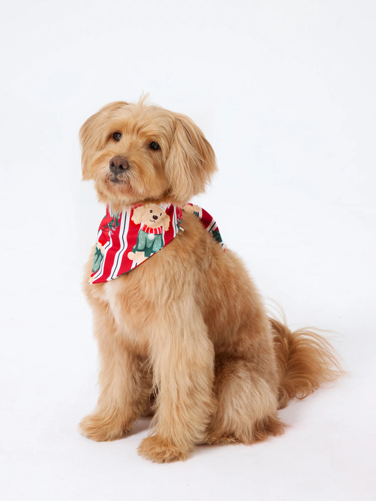 Christmas Matching Family Pajamas Set Christmas Doggy Print Red PJS Red