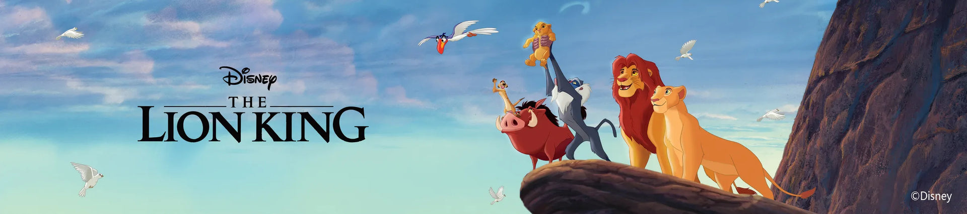 Disney Lion King Clothes